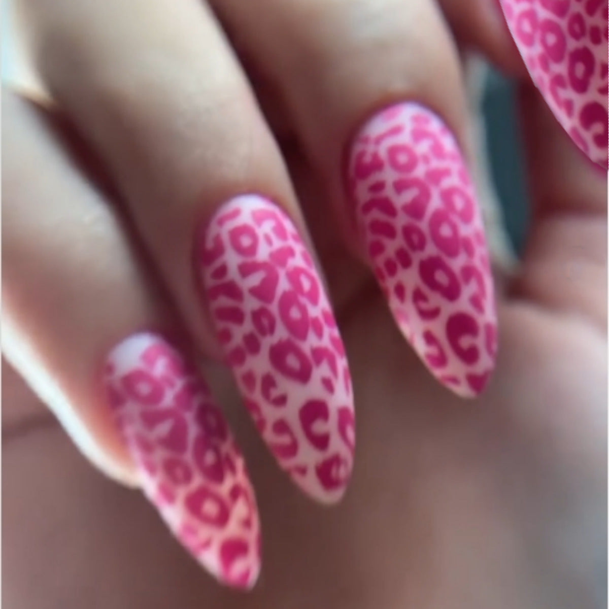 Wild Pink Love Leopard Long Almond Press On Nail Set with Glossy Animal Print Design